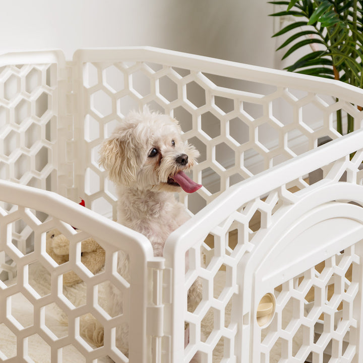 24-inch Exercise Pet Playpen with Door, White