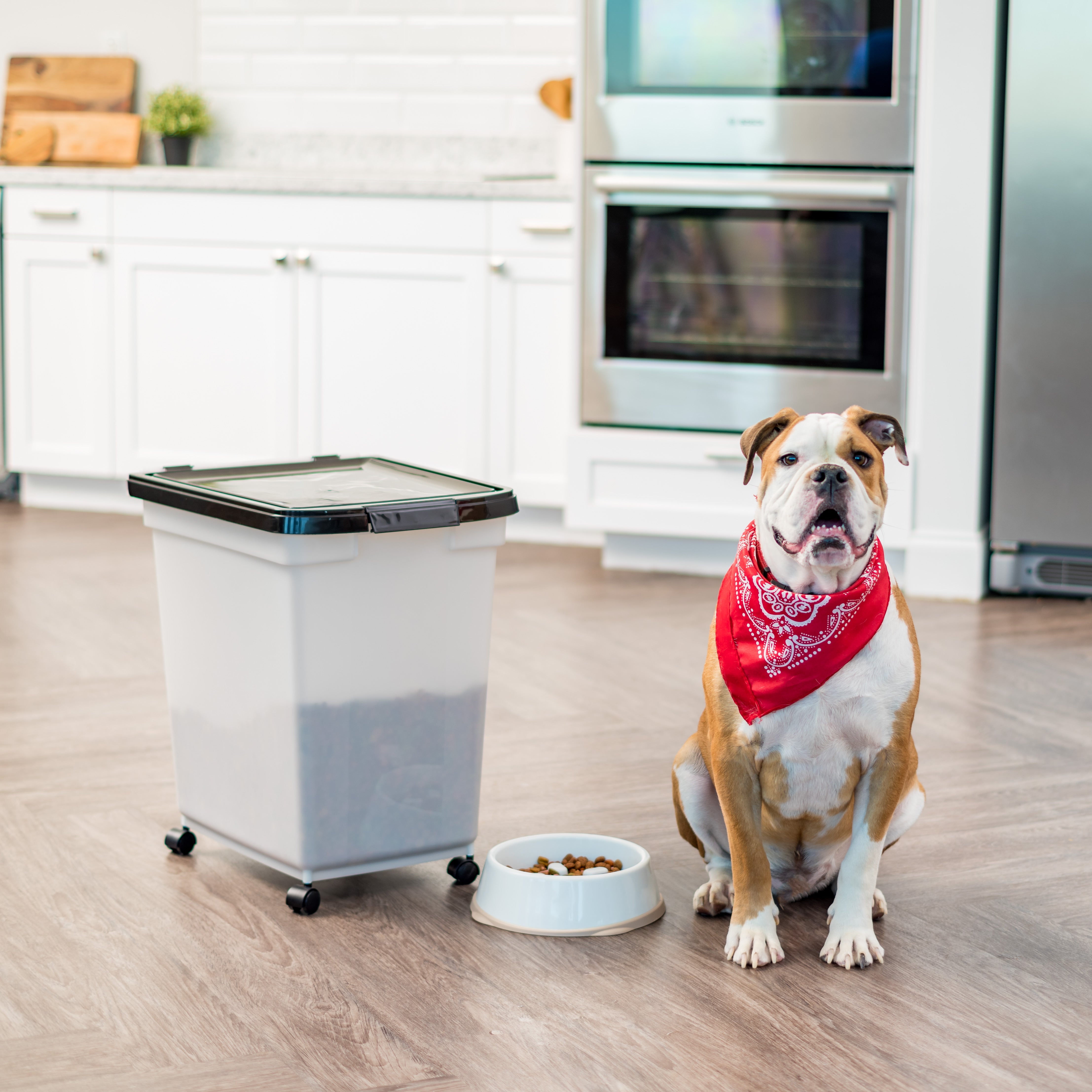 50 pound pet food container best sale