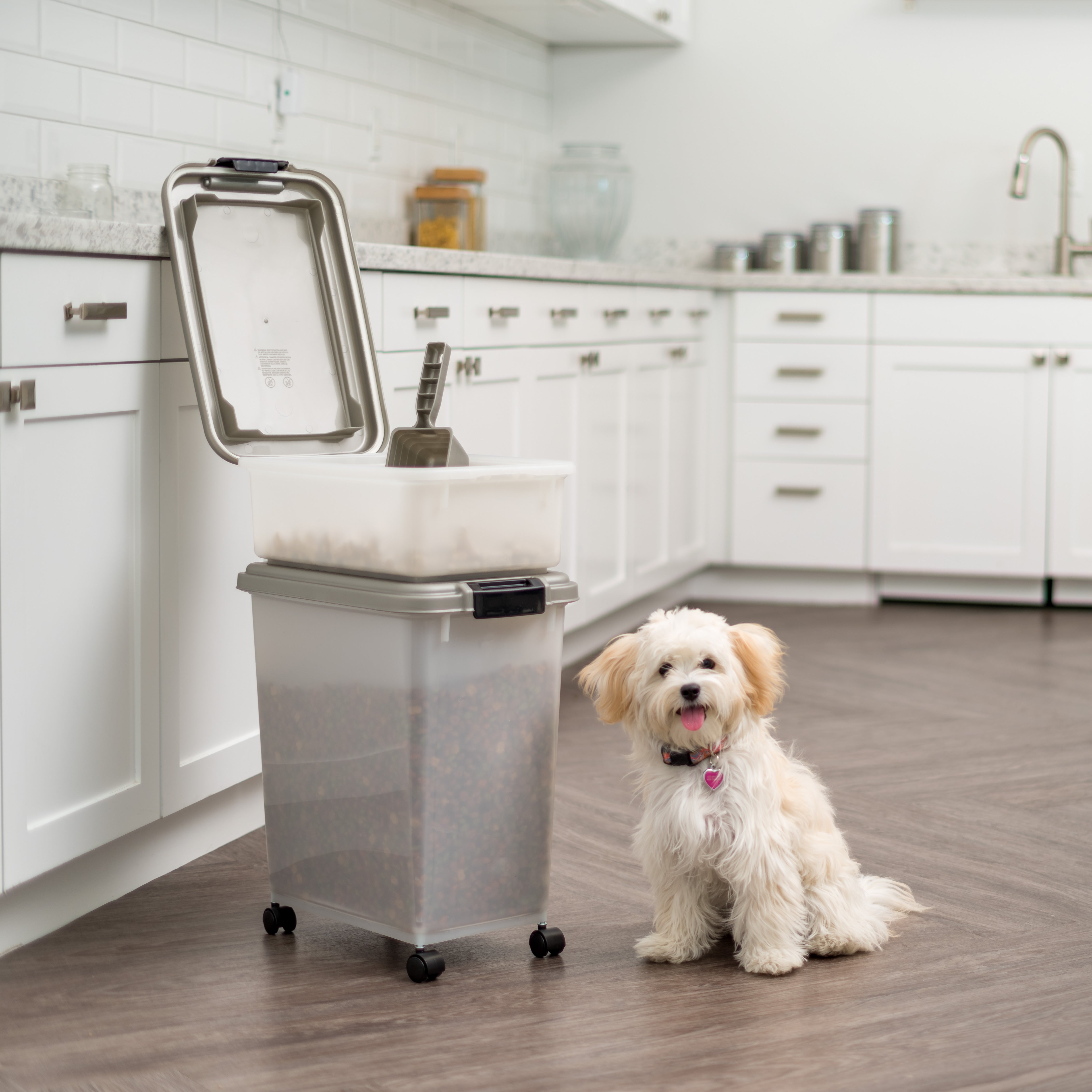 Airtight pet food storage bin best sale