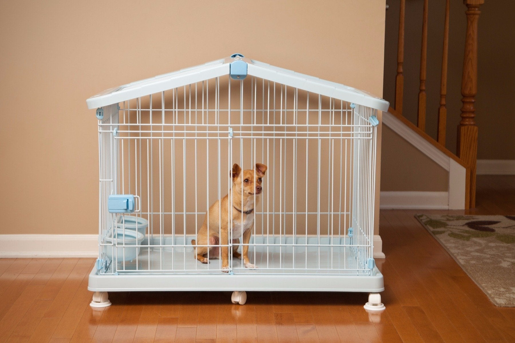 Iris dog shops crate