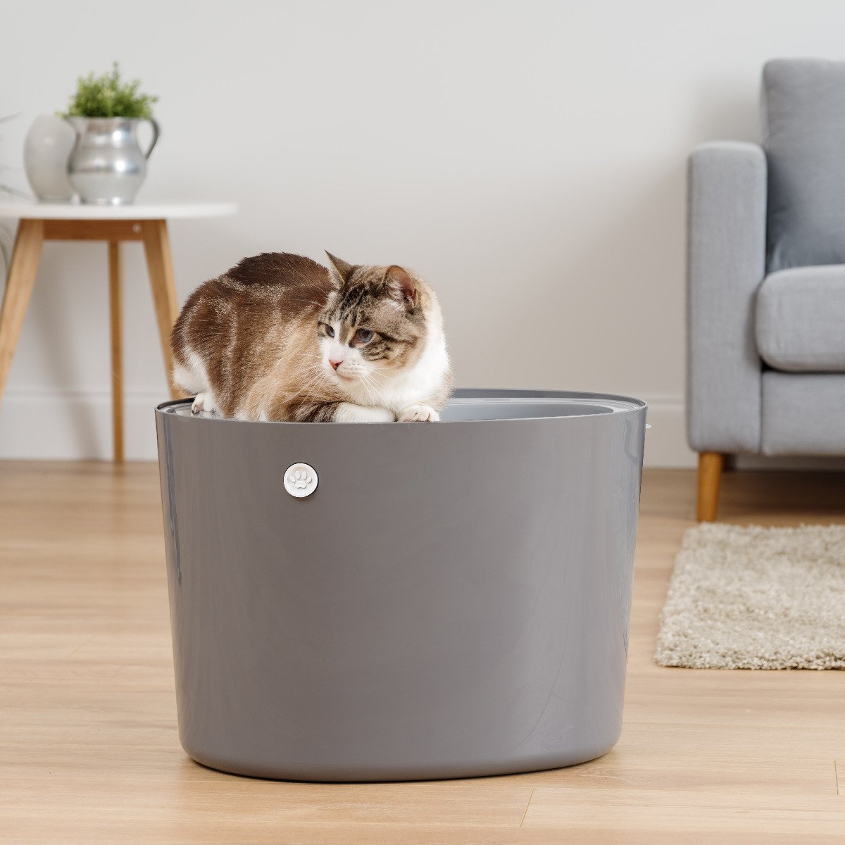 Top entry litter outlet box furniture