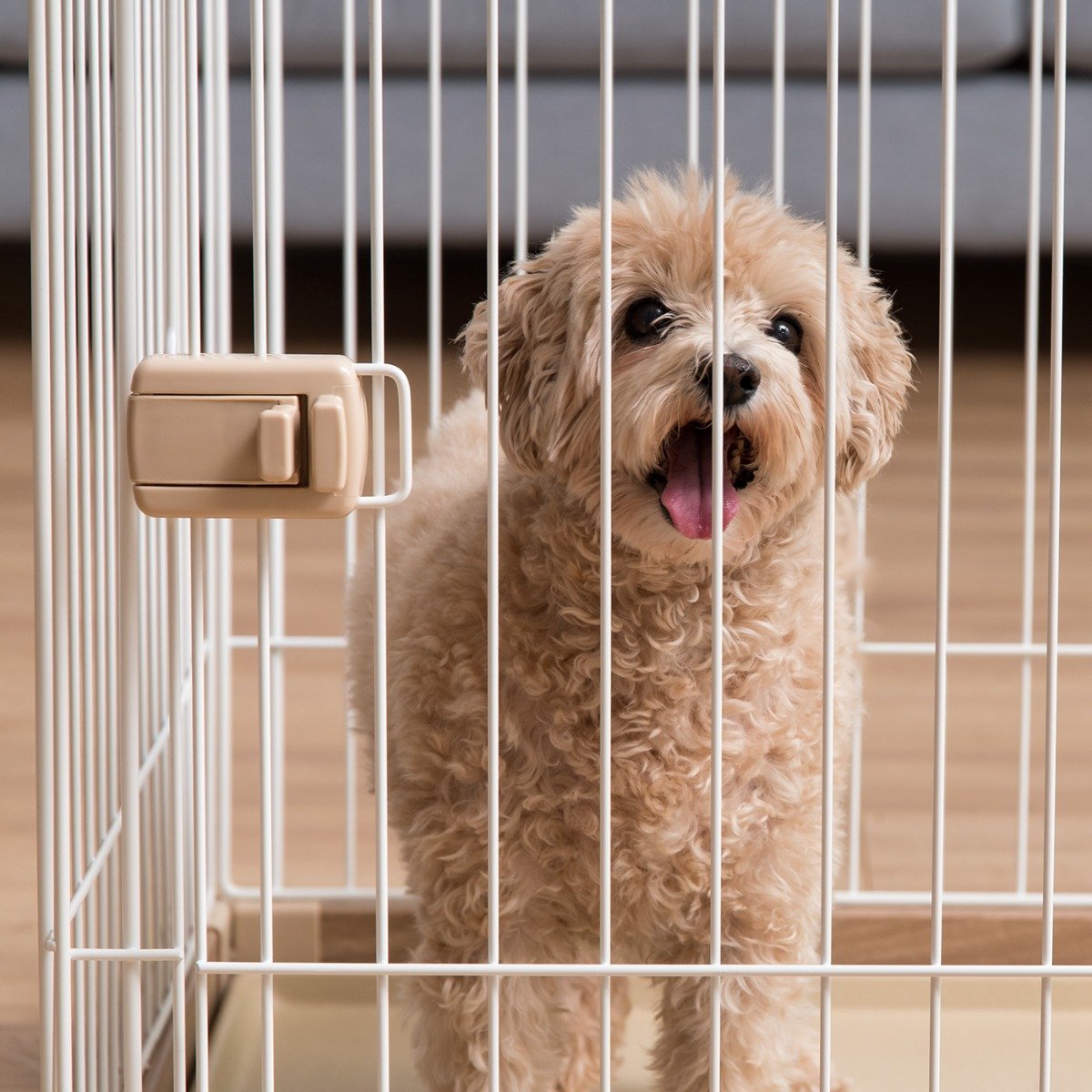 Open dog cage best sale